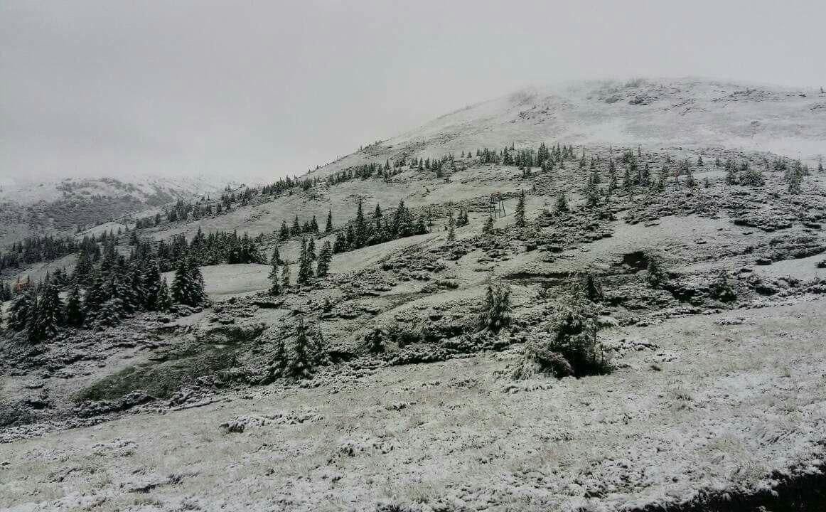 Сьогодні, 11 липня, високогірний гірськолижний курорт Драгобрат та гору Піп Іван, а також Петрос припорошило снігом.