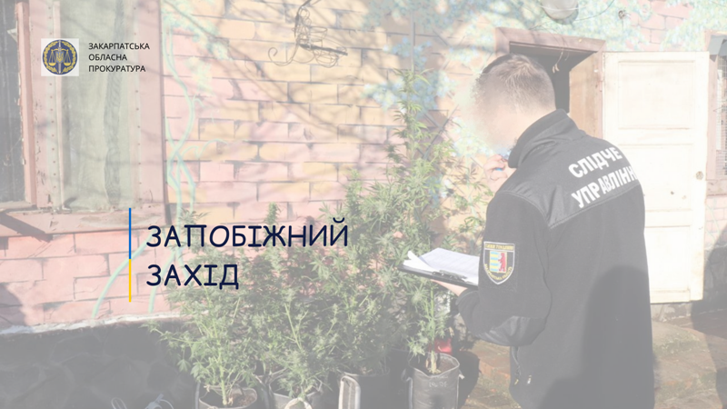 43-летний гражданин Ужгорода, организатор незаконной деятельности, был взят под стражу без возможности внесения залога. 