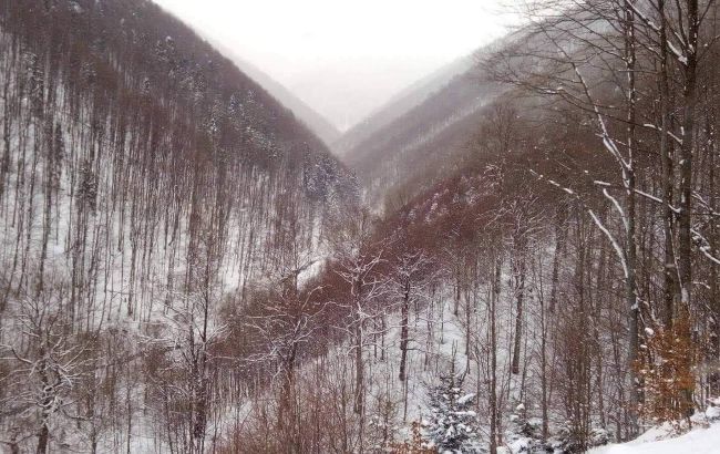 Кроме того, 2-3 декабря прогнозируется снег по всей территории Закарпатья, а в горах метели.