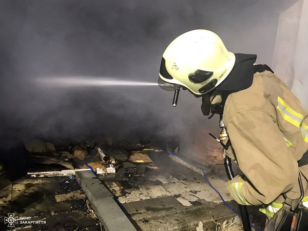 Нічна пожежа на Закарпатті налякала мешканців: полум'я охопило надвірну споруду (ФОТО)