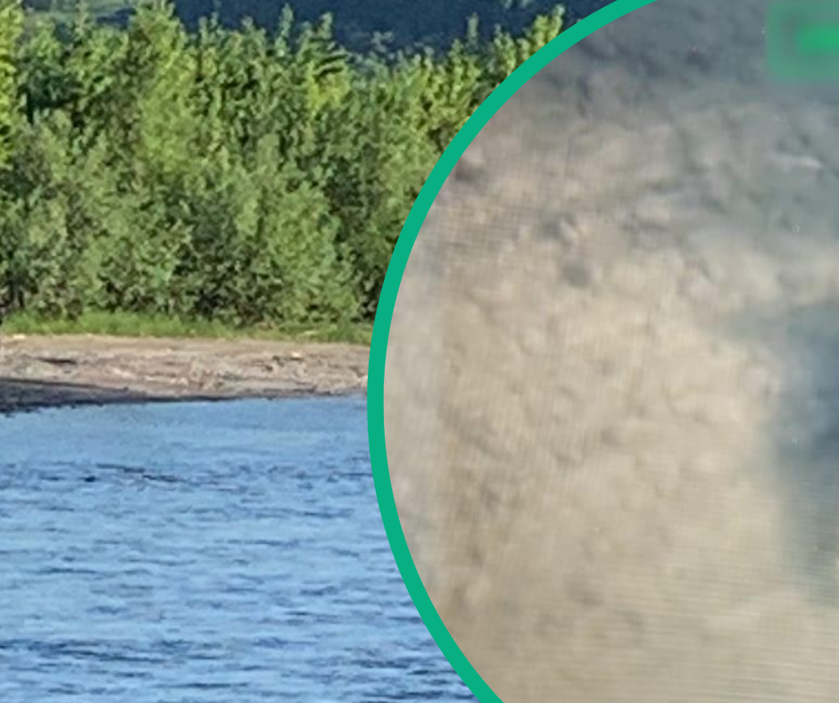 «Эта река не щадит никого»: на Закарпатье вытащили еще одну жертву Тисы (ФОТО)