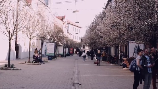 Закарпатці оригінально запросили туристів до Ужгорода "на сакуру" (ВІДЕО)