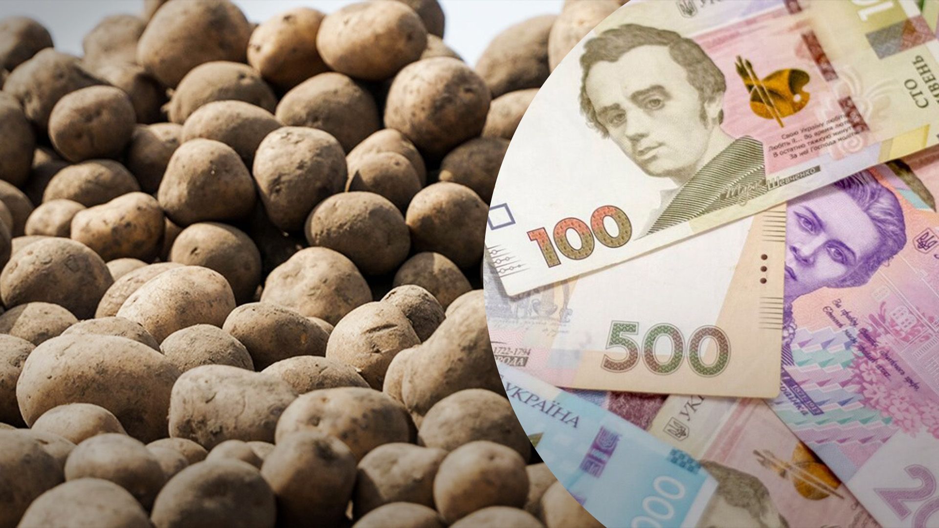Що зараз відбувається з цінами на картоплю в Україні: аналітики пояснили ситуацію