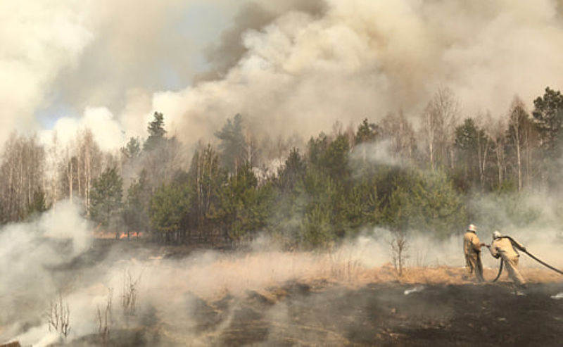 11-12 квітня на більшій частині території Закарпатської області очікується висока пожежна небезпека (IV клас).