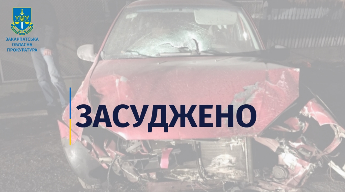 За публічного обвинувачення Закарпатської обласної прокуратури мешканця Берегівщини засуджено за порушення правил безпеки дорожнього руху, що спричинило смерть потерпілої.
