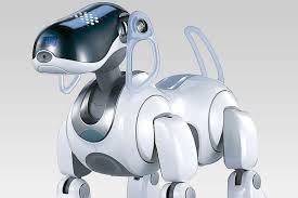 Вчені спробували зрозуміти, як собаки сприймають роботів - як людей або просто як джерело шуму.