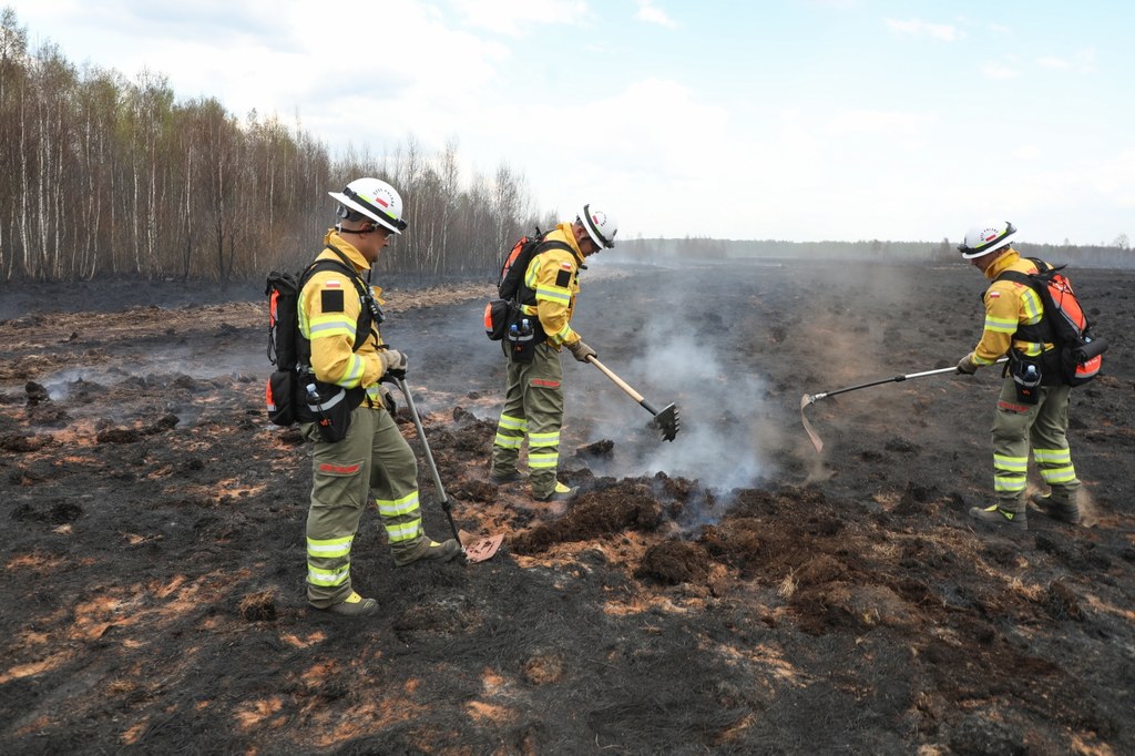 Пожежу гасять уже четвертий день: що відбувається в національному парку у Польщі (ФОТО)