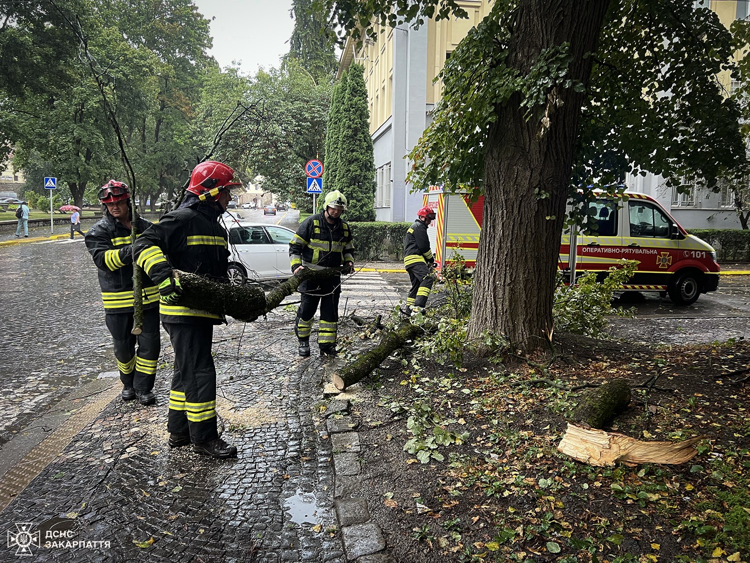 Жахливі наслідки негоди на Закарпатті: вітер повалив гілки на електролінії і дороги (ФОТО)