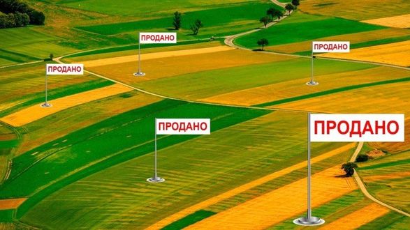 Станом на 8 вересня середня ціна за 1 га землі для ведення товарного сільгоспвиробництва в Україні становить 38 211 грн. Ціни на Закарпатті у порівнянні з іншими областями - середні.