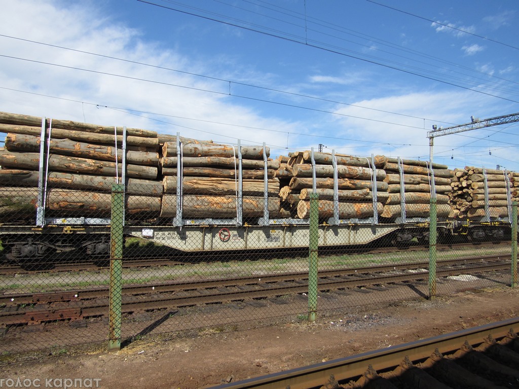 Владелец задержанного на Закарпатье поезда с лесом уверяет, что древесину приобрел легально в лесхозов львовского и закарпатского региона и военного лесничества.