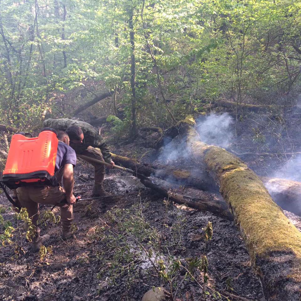 Учора, 18 квітня,на території Ужгородського лісництва ДП «Ужгородський лісгосп» виникло загоряння, яке могло перерости у велику лісову пожежу.