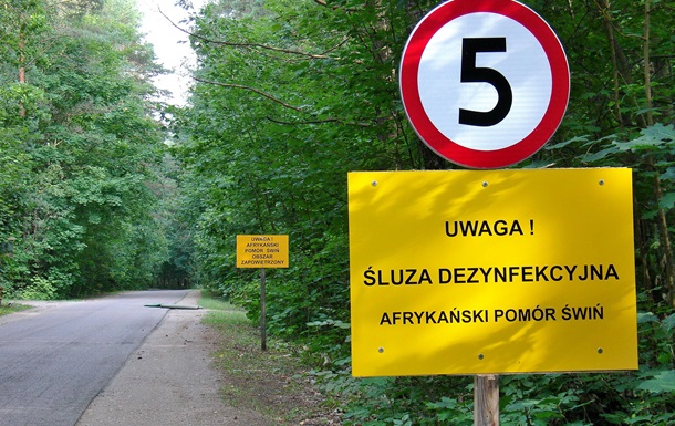 Польща планує побудувати паркан на кордоні з Україною та Білоруссю протяжністю 729 км у рамках боротьби з африканською чумою свиней (АЧС). Про це заявила заступник міністра с/г Польщі Єва Лех.