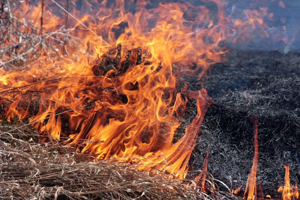 Пожар охватил сухотравя и кустарники по улице Копанській.
