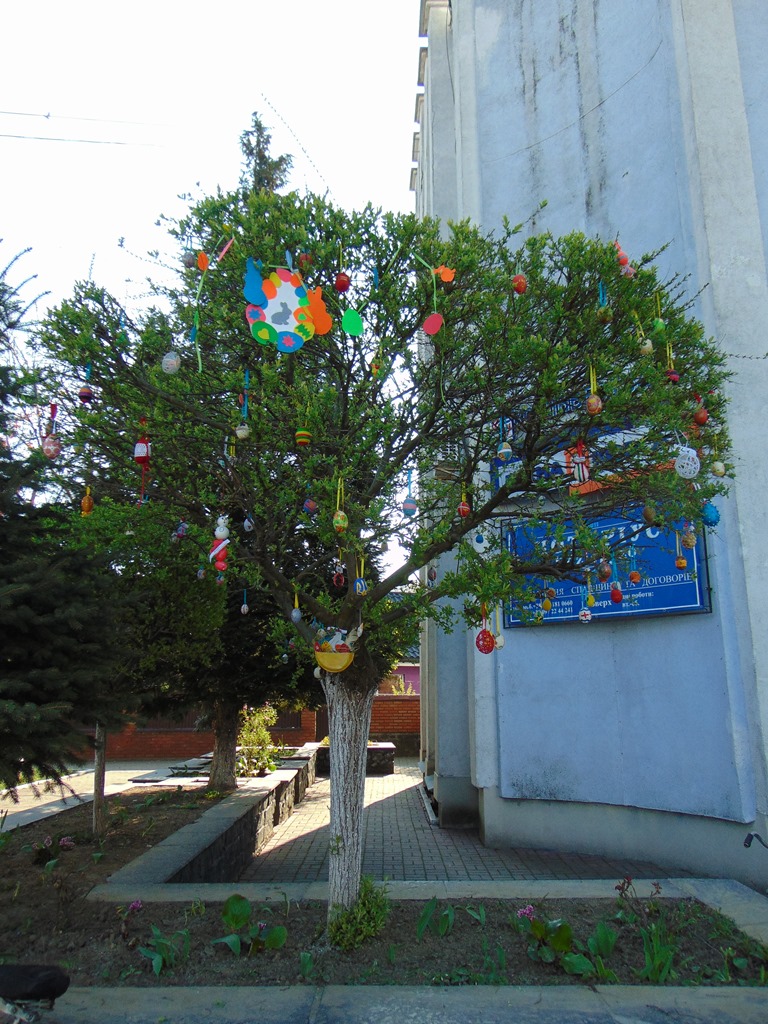 Второй год подряд в Чопе украшают пасхальное дерево.