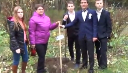 35 дерев сакури висадили на "Алеї Слави" в Ужгороді (ВІДЕО)