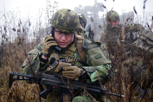 Чешская армия отправила 650 солдат для помощи полиции в охране границы с Австрией.