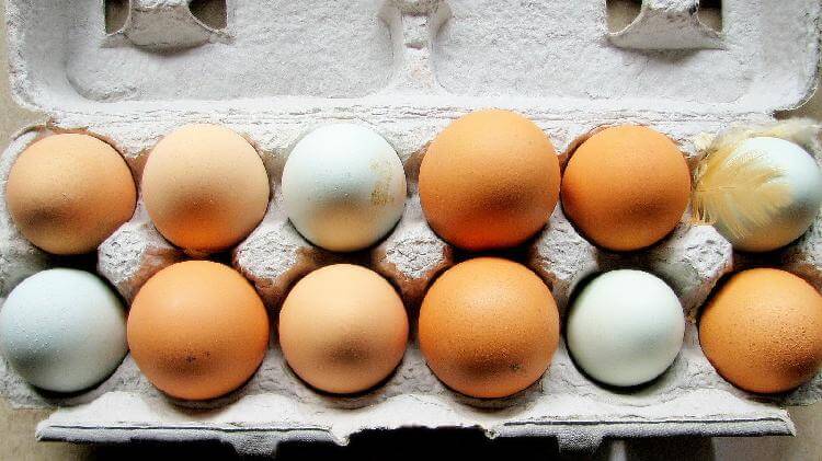 В настоящее время клиентам предлагается огромный выбор куриных яиц, которые отличаются по размеру, разнообразию, цвету и цене. 