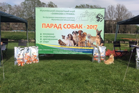 Служебные собаки кинологического центра ГУНП в Закарпатской области немецкие овчарки Арон, Сефа и Черный приняли участие в 