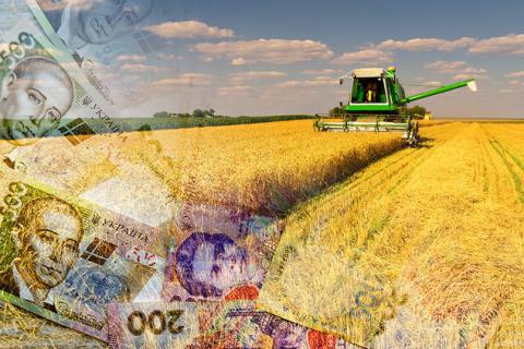 USAID виділяє $1 млн для підтримки українських фермерів.
