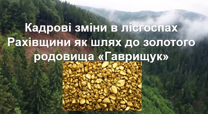 Останні кадрові зміни в державних лісових господарствах Рахівського району можуть бути пов’язані з родовищем золота Віктора Медведчука.