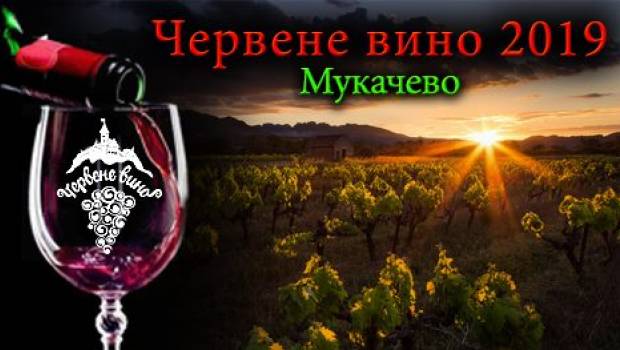 Цьогоріч участь у фестивалі беруть 40 кращих виноробів Закарпатської області.