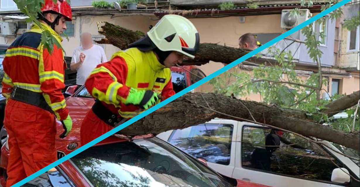 Деревопад на Закарпатті: масивна гілка гепнулася на автівки (ФОТО)