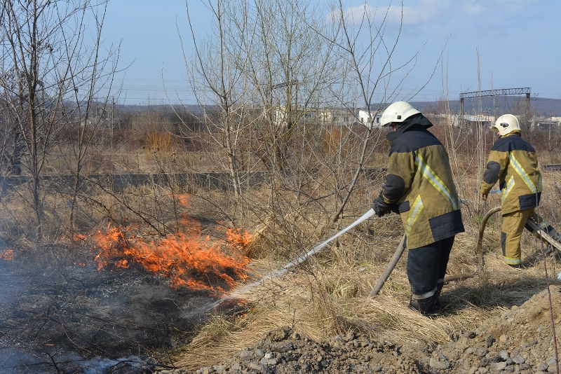 Через пожежу сухої трави сім населених пунктів на Берегівщині залишились без газопостачання.