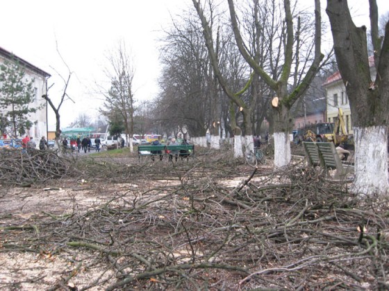 Вчора, 4 грудня, на вулиці Фединця, біля Перечинської автостанції, почали кронувати дерева.