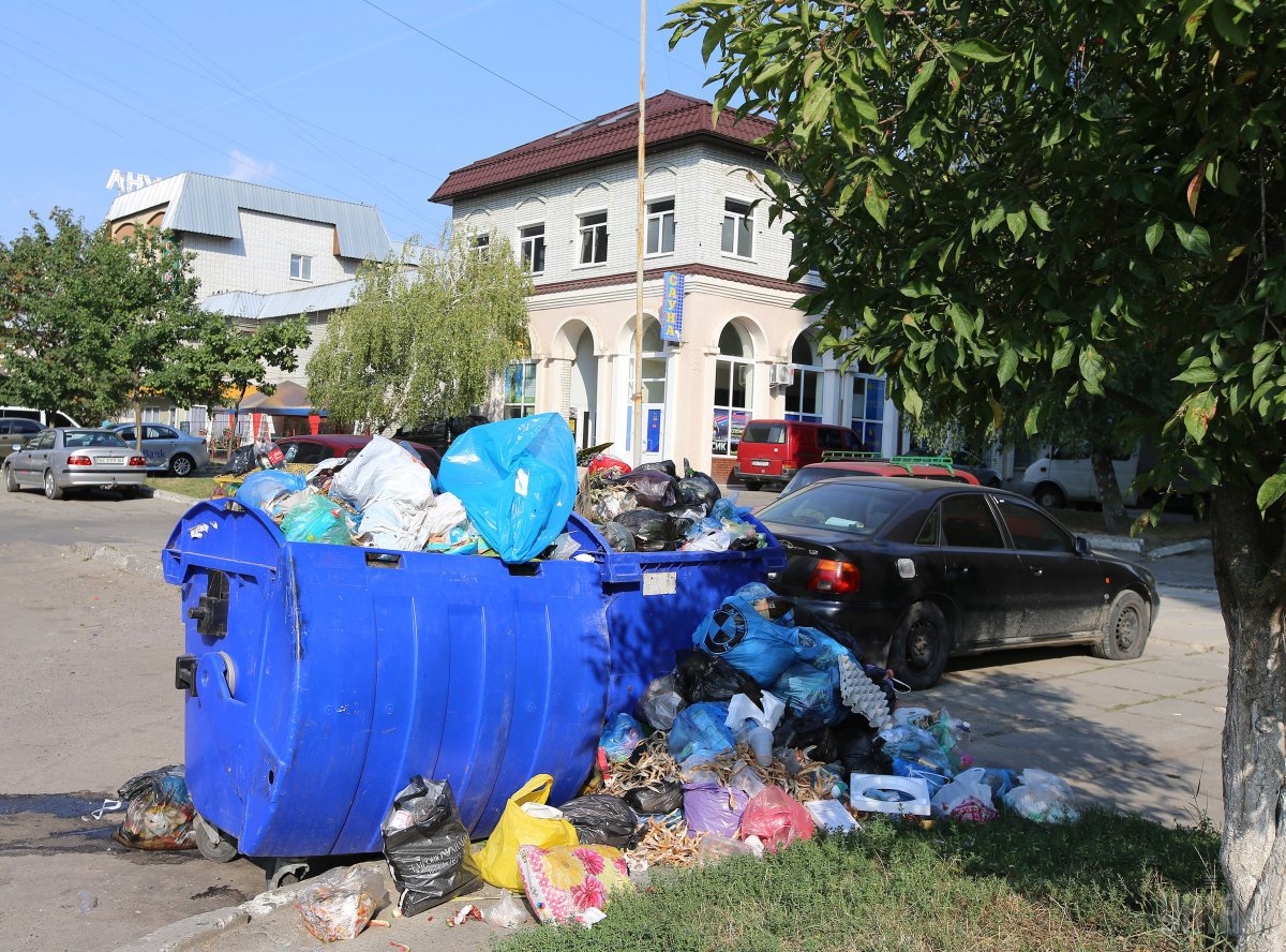 Во Львове снова проблемы с вывозом мусора. Власти города называет причиной переполненных баков увеличение количества мусора в осенний период. 
