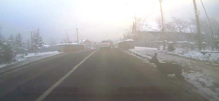 Сьогодні у Фейсбуці оприлюднили відео, яке зафіксував автомобільний відеореєстратор в Ужгороді.
