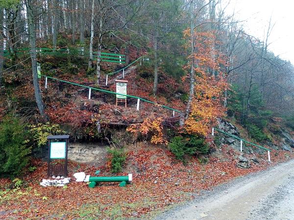 Нещодавно на території Лопухівського лісництва з’явилася ще одна екологопізнавальна стежка. Наразі біля контори лісництва є вже дві такі доріжки.

