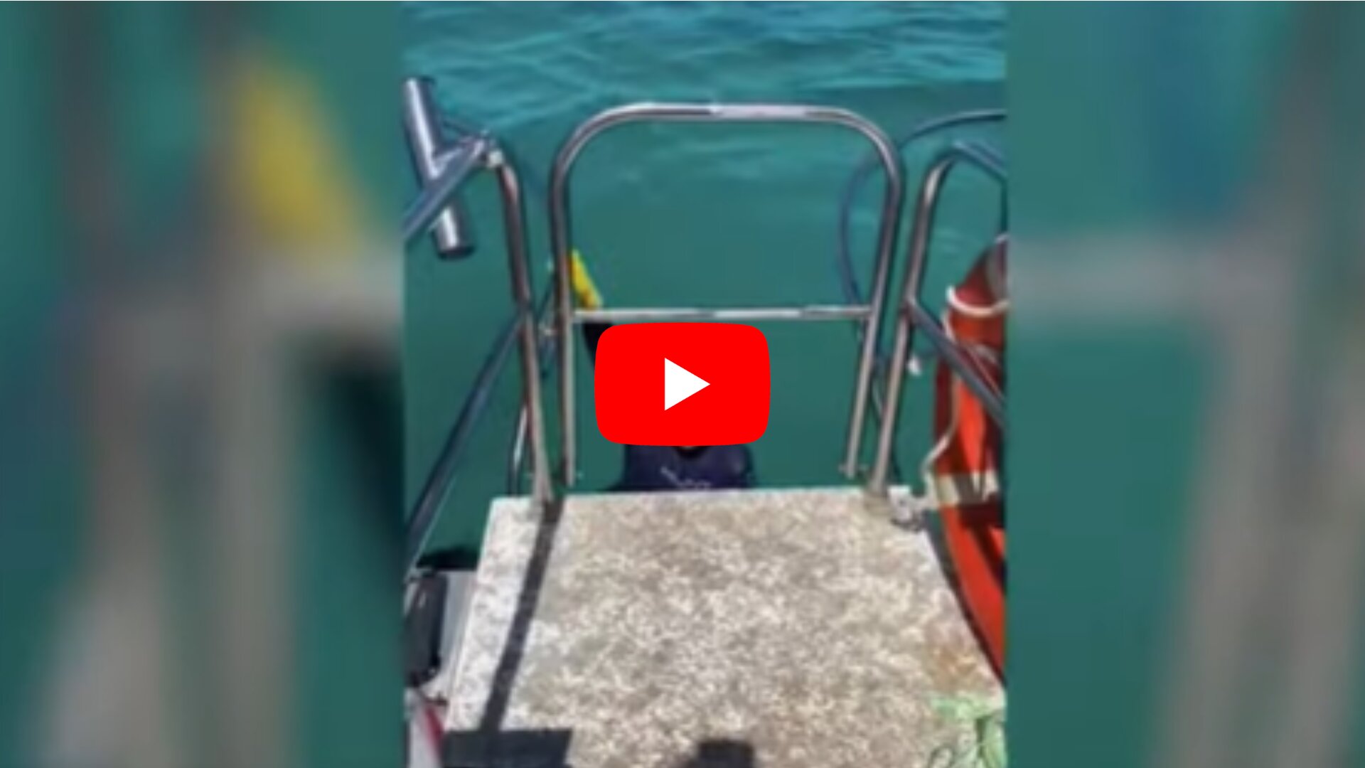 На восьмирічного австралійця під час риболовлі напала акула. Батько хлопчика випадково зняв укус на відео.

