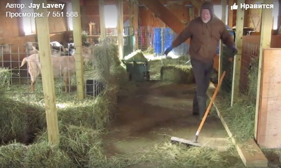30 грудня фермер Джей Лавер виклав в Facebook відео, на якому танцював під час прибирання на фермі. 