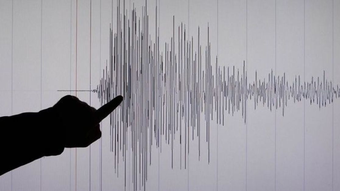 Неподалік Закарпаття зафіксували потужний землетрус