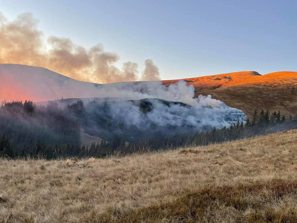 Крупный пожар вспыхнул на горных долинах «Браевка» и «Стрымчиска», которые охватили более 20 гектаров земли. Кустарники и сухая трава горят, по словам спасателей и лесников.