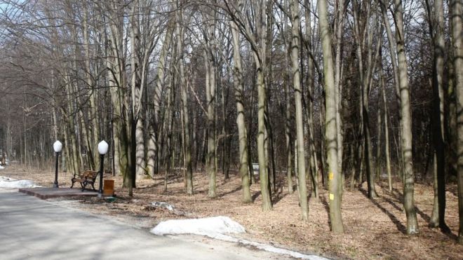 На Харківщині розслідують загибель 6-річного хлопчика, на якого впала меморіальна дошка в парку.
