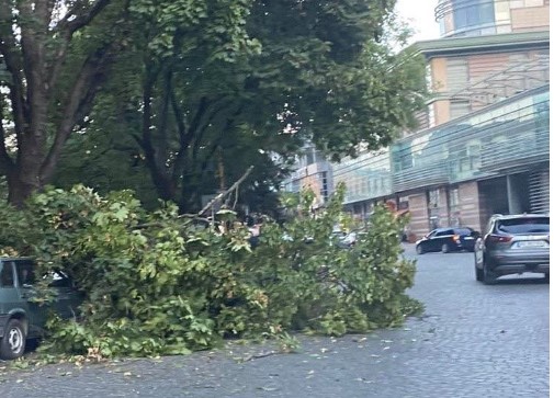 Сьогодні увечері, близько 20.15, на площі Поштовій біля Альпінарію порив вітру зламав гілки старих дерев.