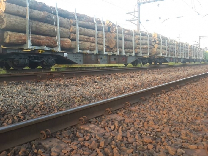 Накануне специалисты Закарпатской таможни ДФС составили два протокола изъятия лесоматериалов, которые перемещались за границу через таможенные посты «Железнодорожный» и «Тячев».