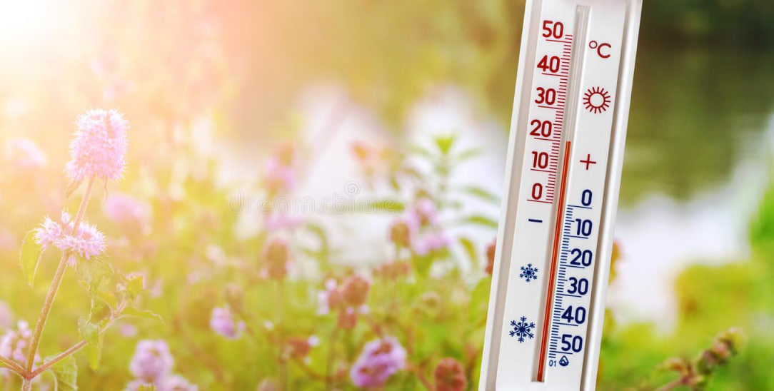В Україні протягом найближчого тижня, у період з 12 по 15 березня, продовжиться тенденція аномального тепла.
На Закарпатті температура підніметься до 15 градусів. 