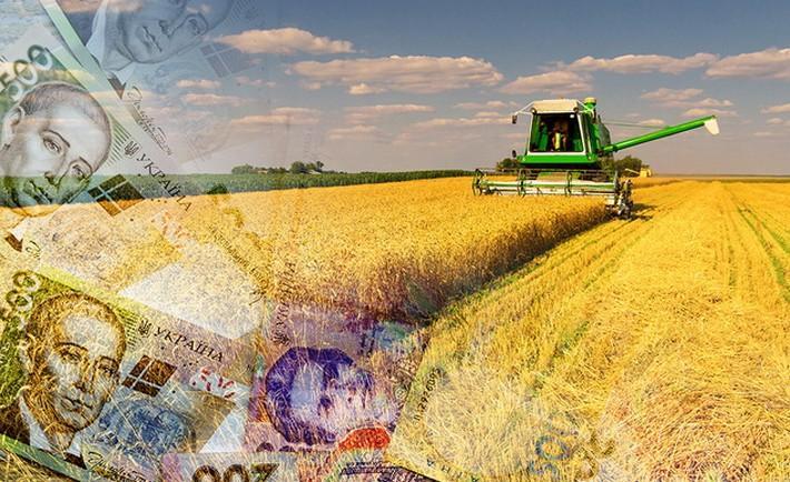 $402 з гектара: Чому агробізнес в Україні став рекордно прибутковим у 2024 році