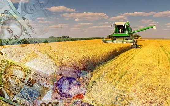 $402 з гектара: Чому агробізнес в Україні став рекордно прибутковим у 2024 році