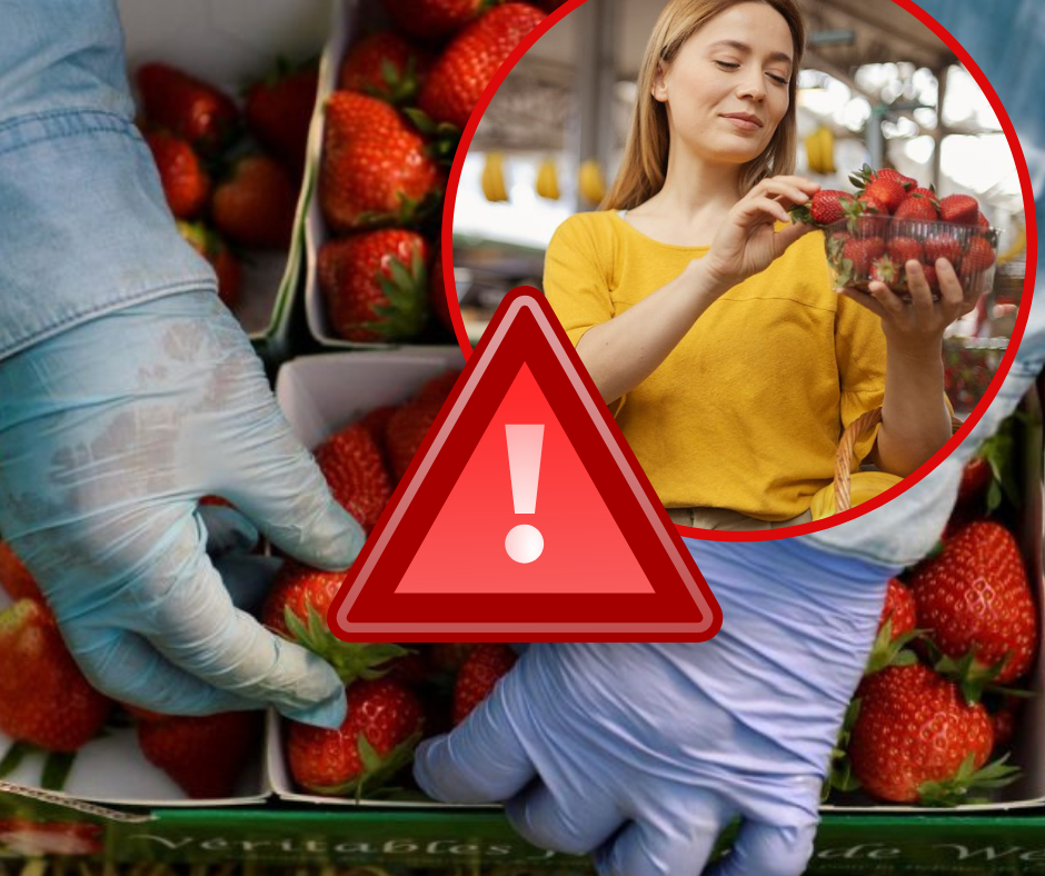 Отруйні ягоди уже на прилавках, а люди в небезпеці: у регіоні фіксують перші харчові інфекції та масово штрафують підприємців (ВІДЕО)