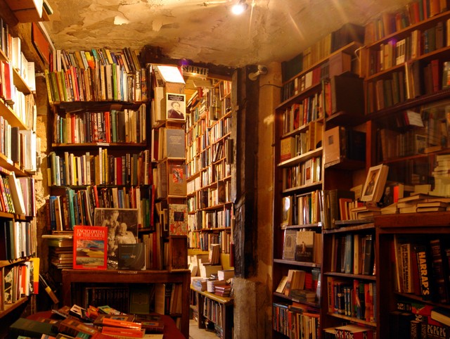 Чи читаєте ви українською? Ось чому в 2024 році 76% книг – саме українською мовою!