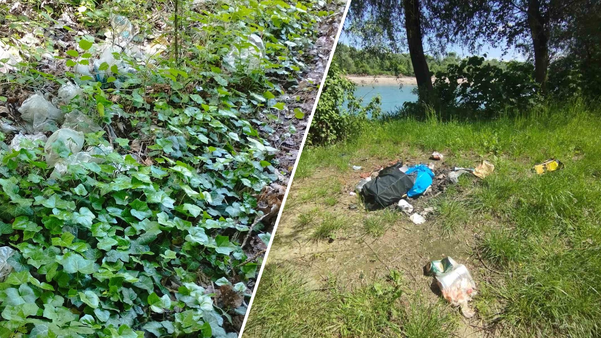 Невідомі люди забруднюють річку Тису та її береги на Виноградівщині.