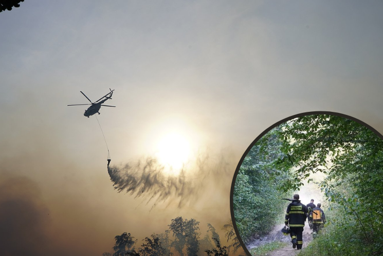В Ужгородському районі рятувальники та небайдужі боролися з масштабною лісовою пожежею.