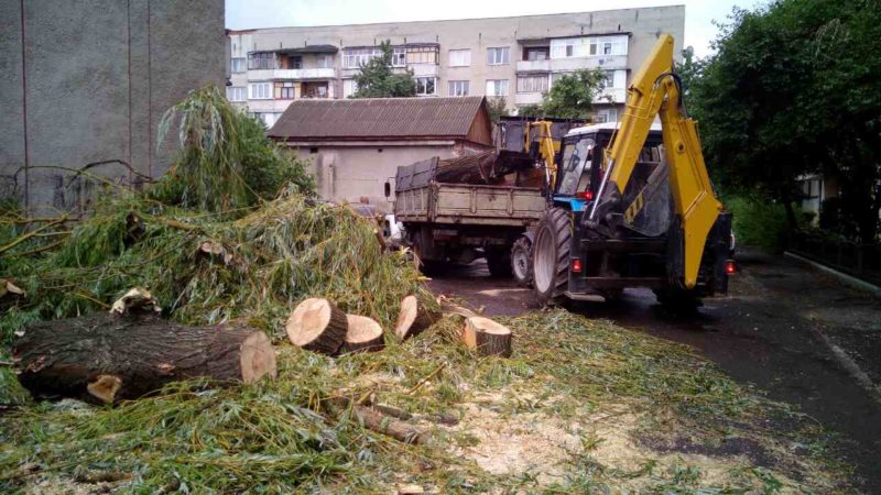 В різних мікрорайонах міста комунальні служби прибирають повалені дерева та гілля.

