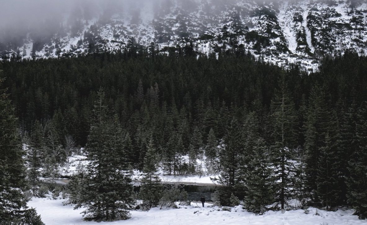 Сьогодні в гірських районах Івано-Франківської, Закарпатської та Львівської областей очікуються снігопади та хуртовини.
