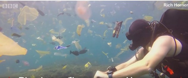 Море пластику: катастрофічна ситуація на Балі.