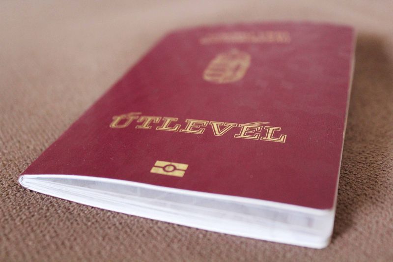 Свыше пятидесяти иностранных граждан, среди которых есть и жители нашего края, незаконно получали заграничные паспорта и удостоверения личности. 