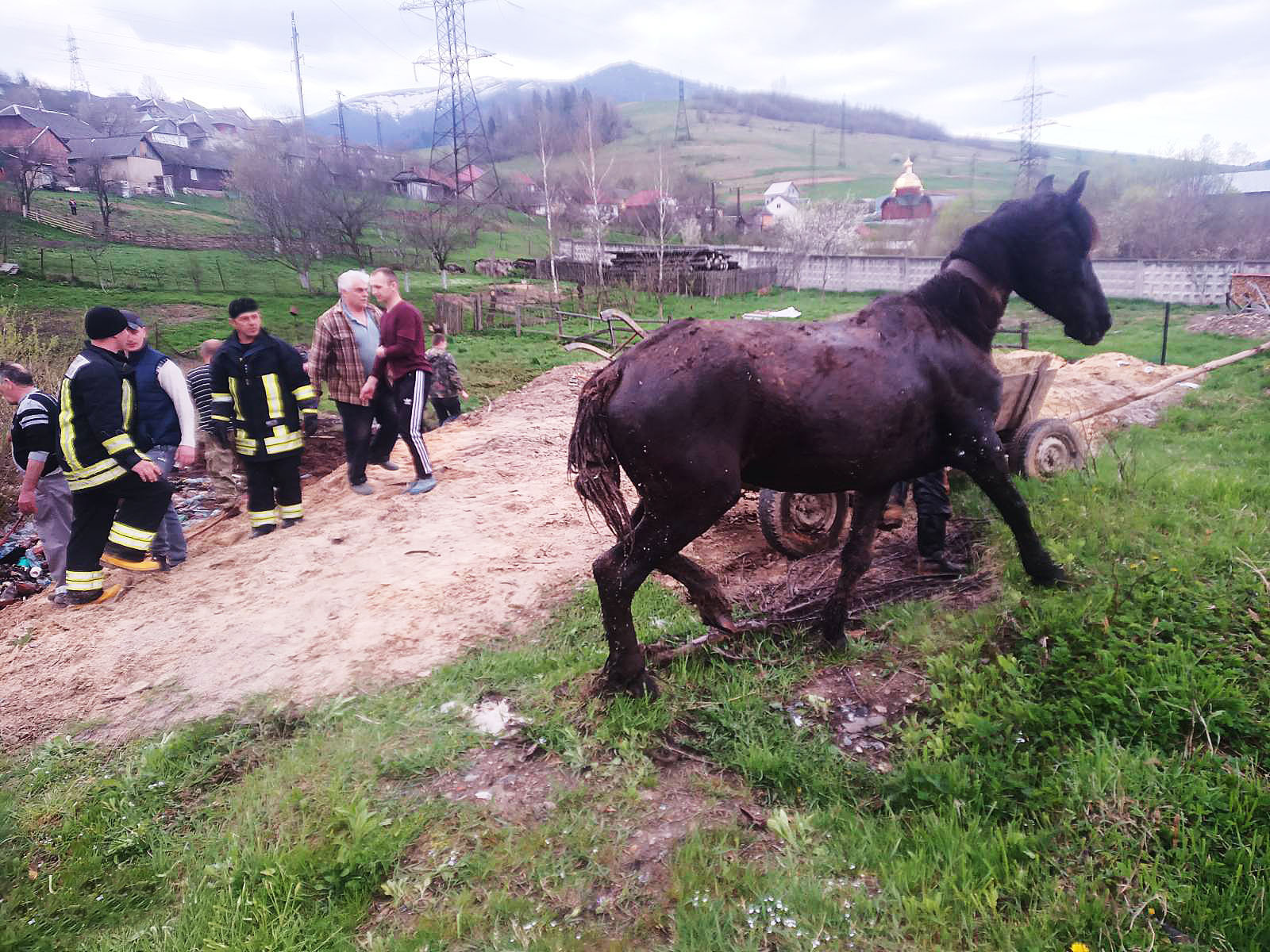 Экстренные службы спасли лошадей, которые упали в квагмлет.